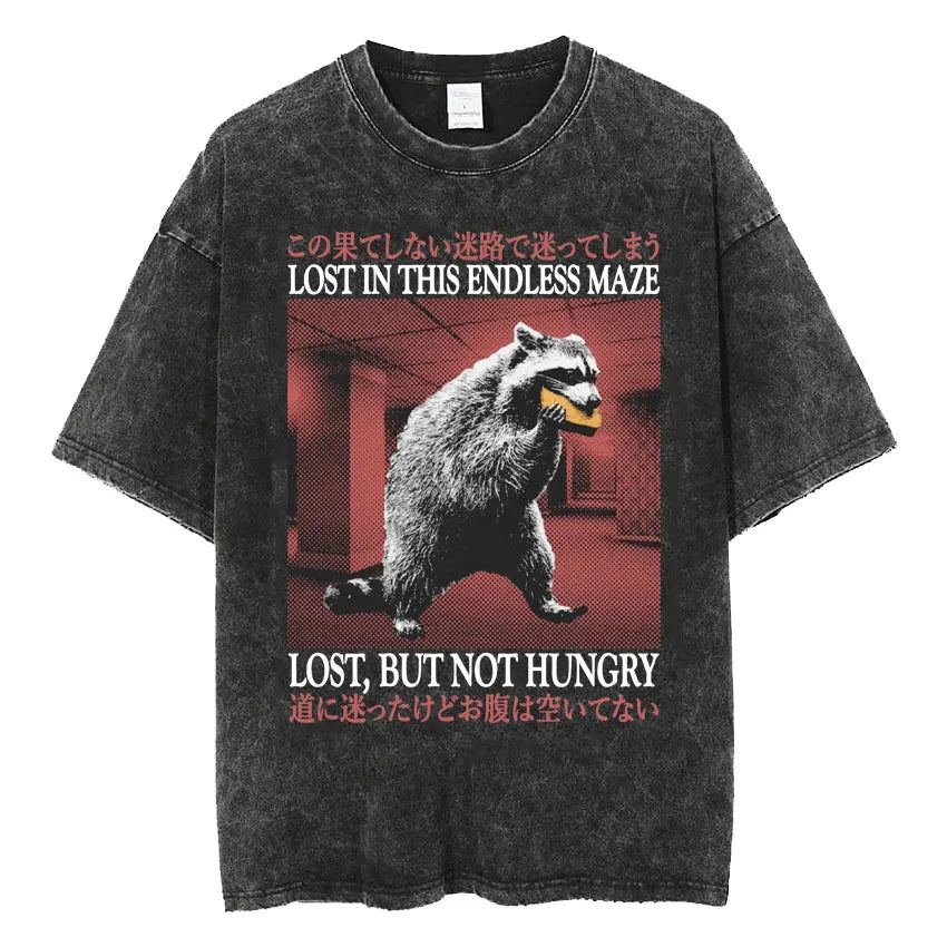 The Horrors Are Never Ending Yet I Remain Silly T-shirt Funny Japanese Style Frog Retro Washed T Shirt Men's Oversized Tees Tops